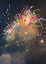 wx_154993449041